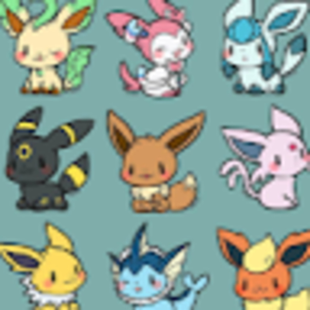 Meet your Posher, EmÃ